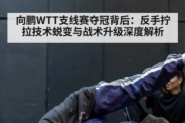 向鹏WTT支线赛夺冠背后：反手拧拉技术蜕变与战术升级深度解析