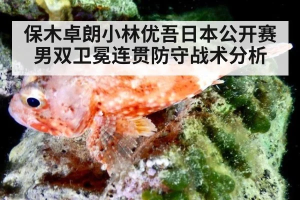 保木卓朗小林优吾日本公开赛男双卫冕连贯防守战术分析