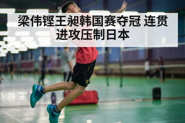 梁伟铿王昶韩国赛夺冠 连贯进攻压制日本